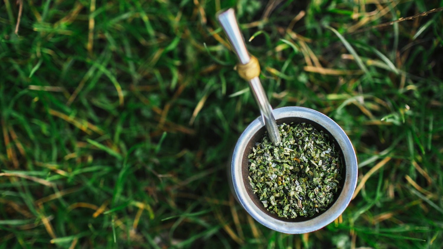 Mate Gourd with yerba mate and bombilla on Grass background