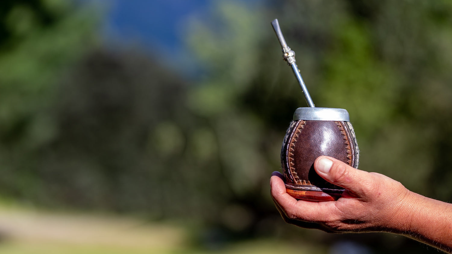 A Mate gourd with bombilla in a persons hand